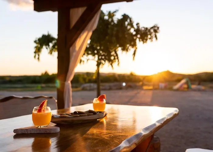 Holiday Home Villa Juli 別荘 シベニク